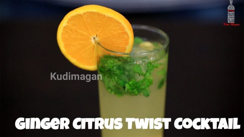 Ginger Citrus Twist Cocktail | Tasty Vodka Cocktail | Vodka Recipe